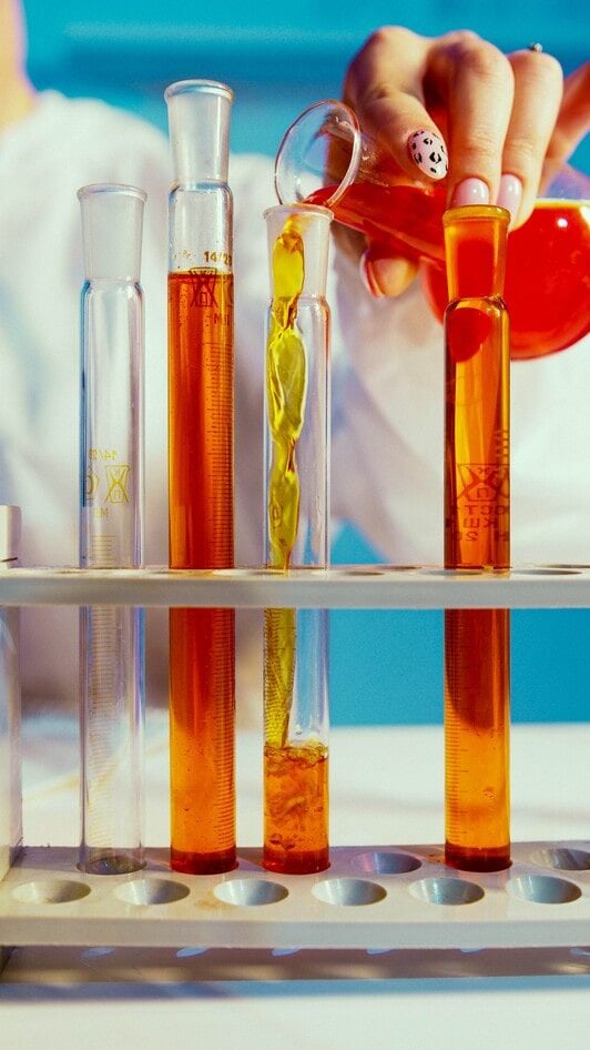 Nutraceutical Role of Polyphenols and Triterpenes Present in the Extracts of Fruits and Leaves of Olea europaea as Antioxidants, Anti-Infectives and Anticancer Agents on Healthy Growth